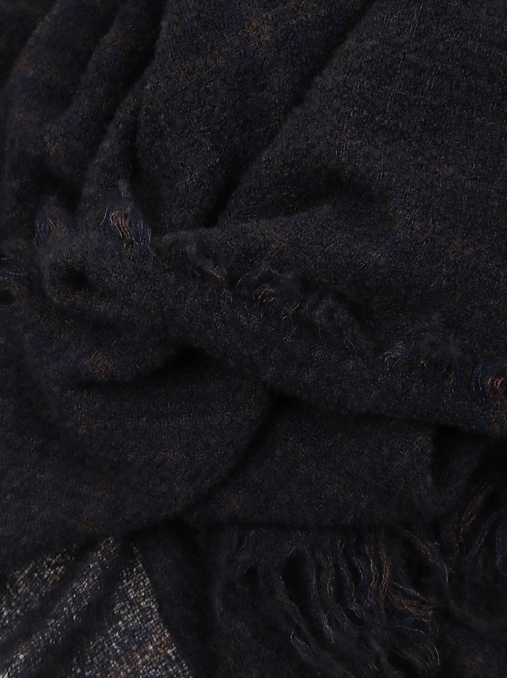 Perry - I27 0477