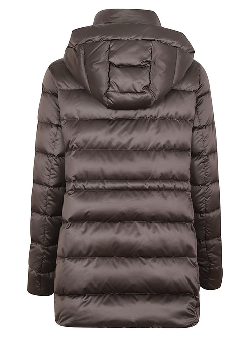 Delia - MODGI200010 TEPAS80